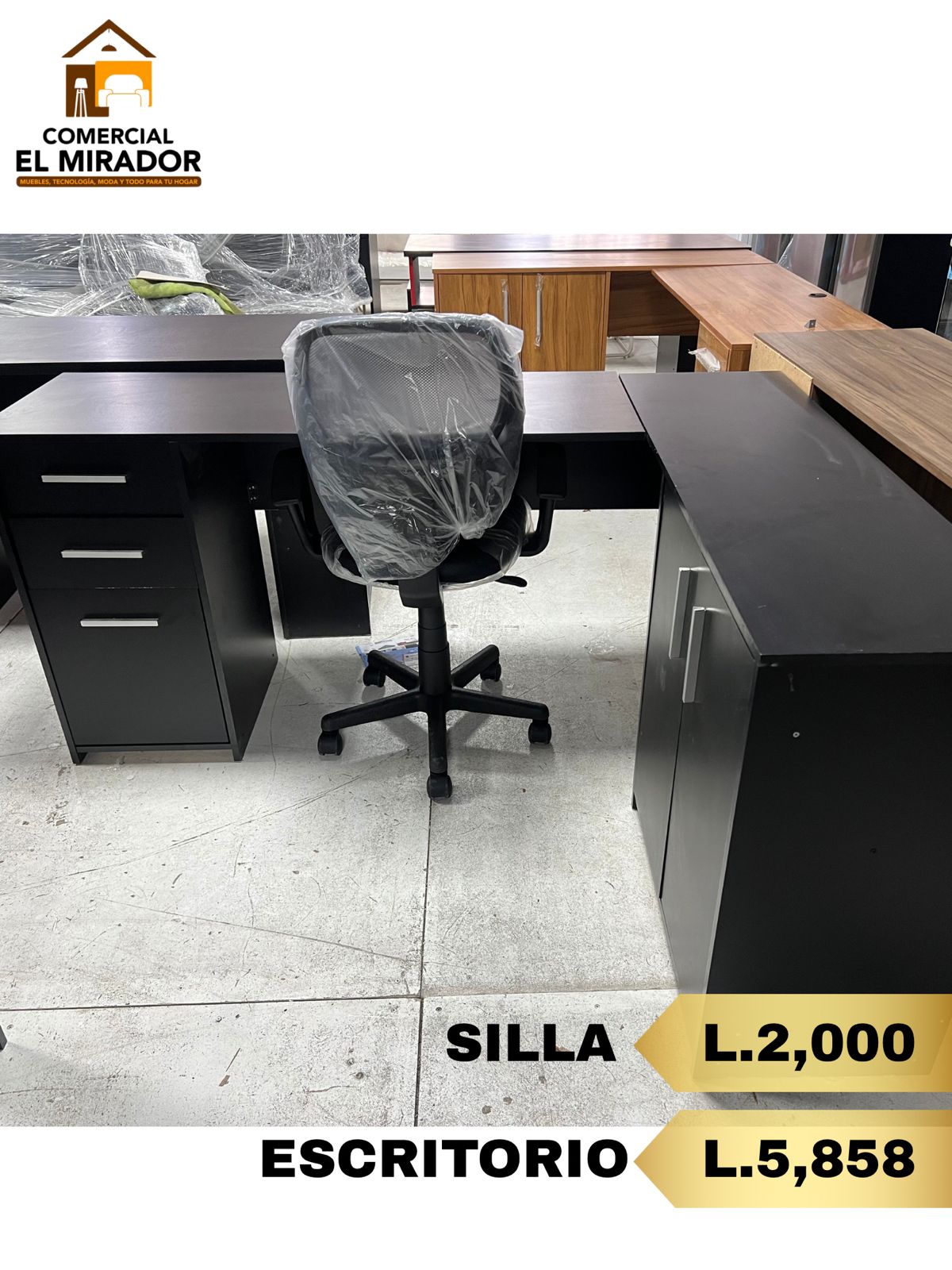 ESCRITORIO Y SILLA EJECUTIVA